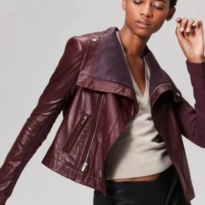 Veda “Max” burgundy high collar leather jacket
